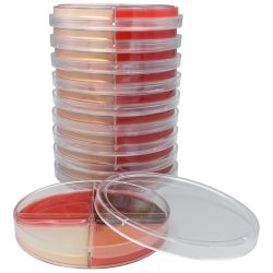 EMB (Eosin Methylene Blue )/MSA (Mannitol Salt Agar)/Mycobiotic Agar/Blood Agar 5%, Quad Plate