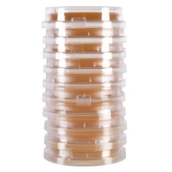 LokTight™ Malt Extract Agar (MEA) with Lecithin and Tween® 80, 15x65mm, Contact Plate