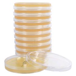 Sabouraud Dextrose (SabDex) Agar, Emmons