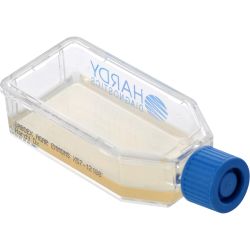 HardyFlask™ Sabouraud Dextrose Agar (SabDex), Emmons, 12ml