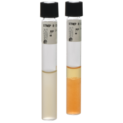 Strep B Carrot Broth™ One-Step, 6ml