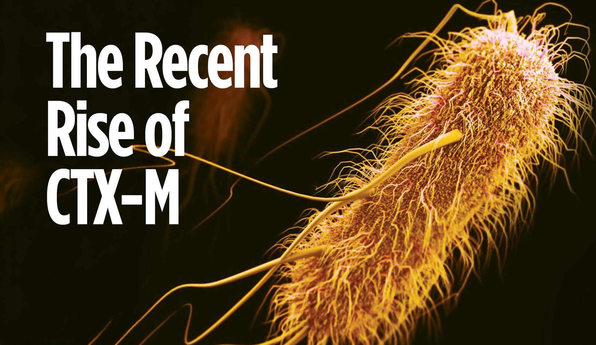 Ctx M Injection The Recent Rise of CTX-M