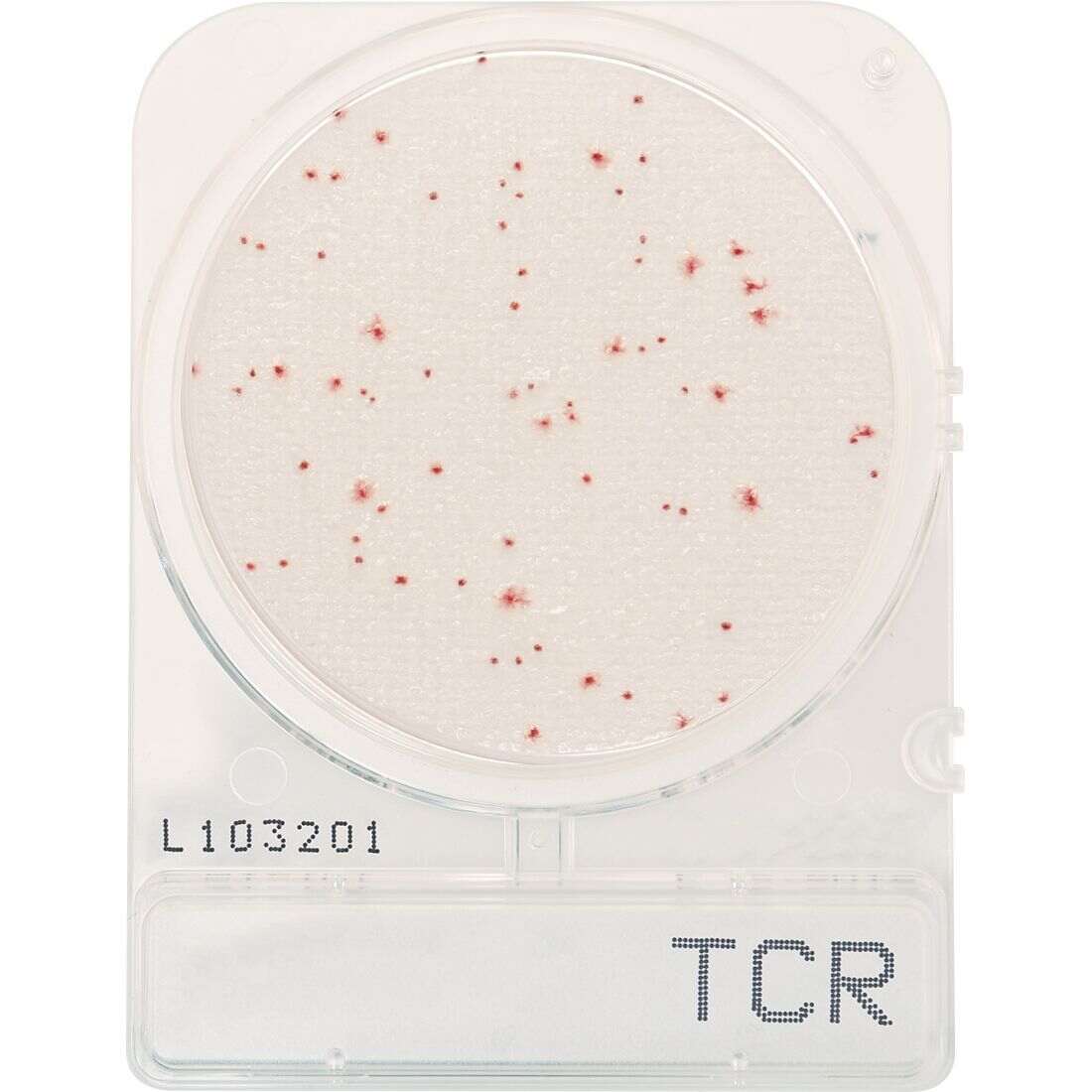 CompactDry™ Total Count Rapid (TCR) for aerobic colony counts