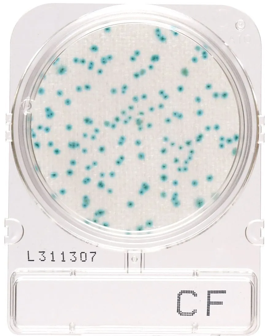 CompactDry™ Coliform (CF)