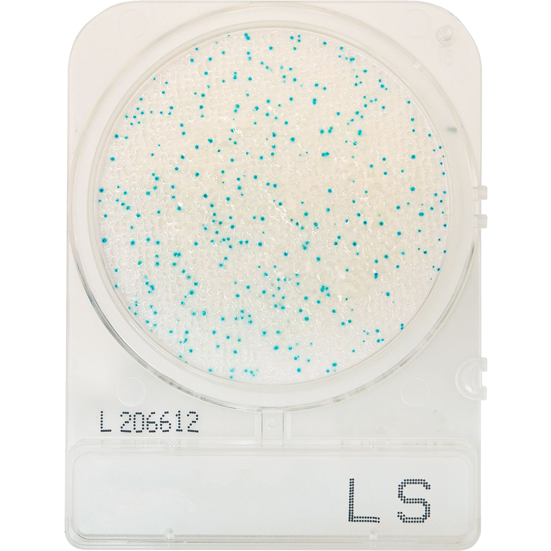 CompactDry™ Listeria spp (LS)