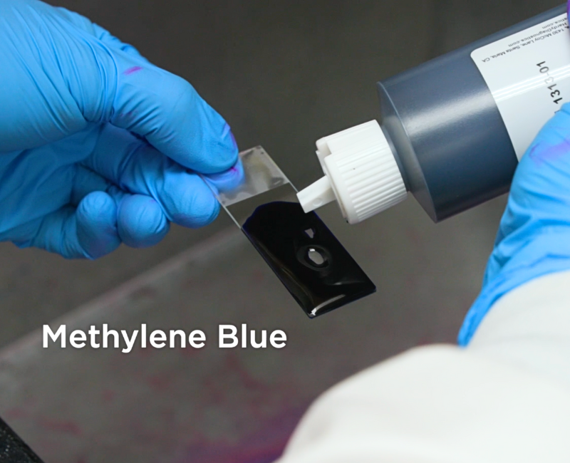 step_3_-_methylene_blue