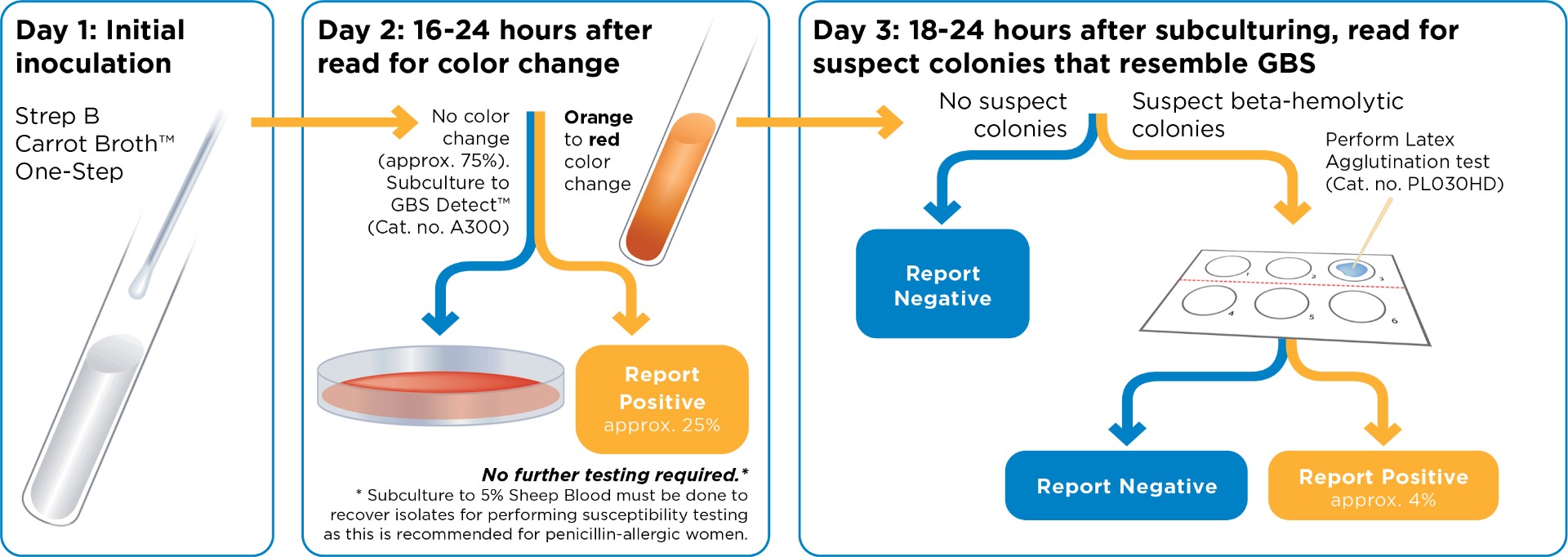 Carrot_Broth_One-Step_Method_082124ss