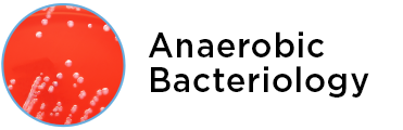 Anaerobic-Bacteriology