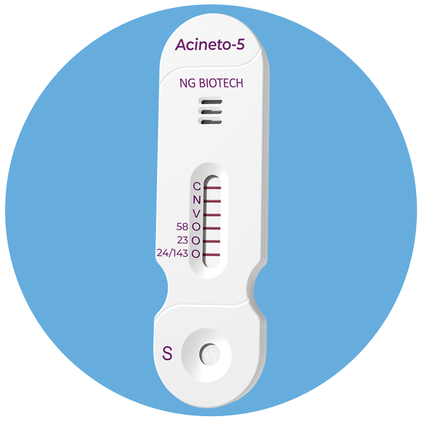 NG-TEST Acineto-5