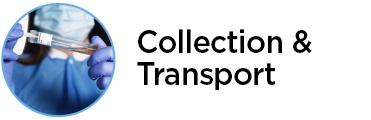 collection-and-transport_1