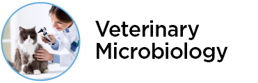 veterinary-microbiolgy_1