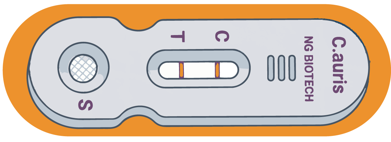 ng-test-candida-auris-orange-pill